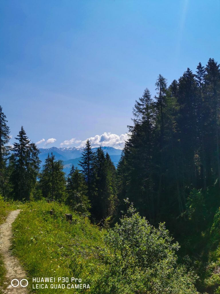 Hoher Burgstall - Bergtourentipp Tirol