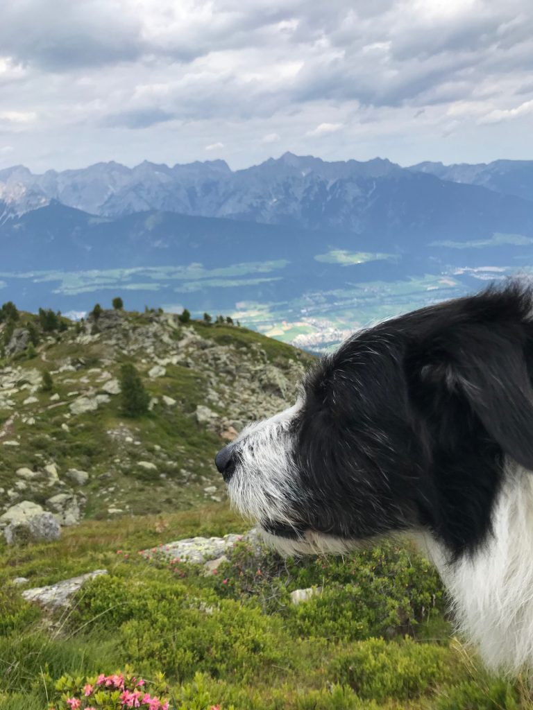 Largoz - Bergtourentipp Tirol