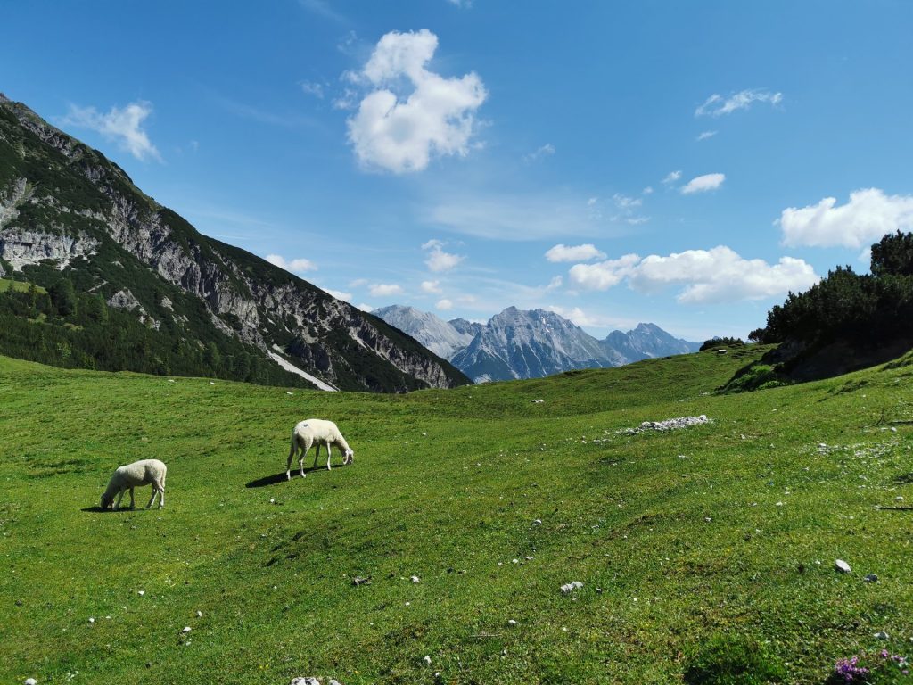 Großer Solstein - Bergtourentipp Tirol