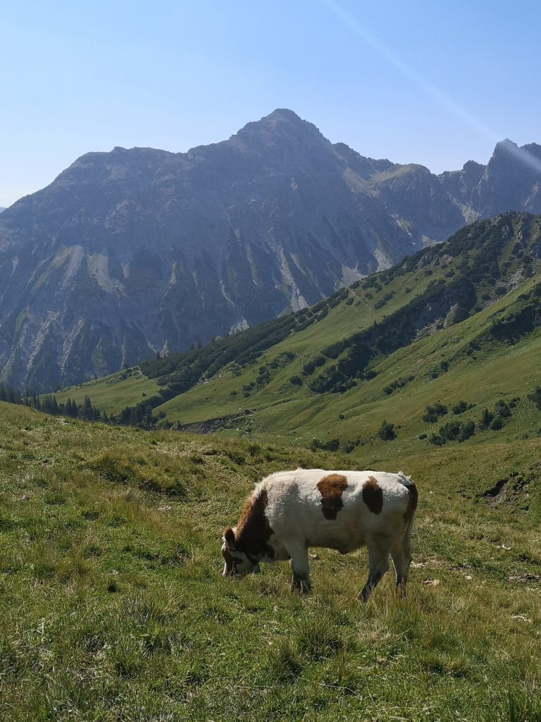 Figerhorn - Bergtourentipp Tirol