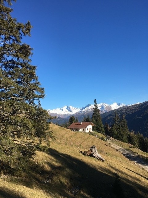 Kastenbergalm - Bergtourentipp Tirol