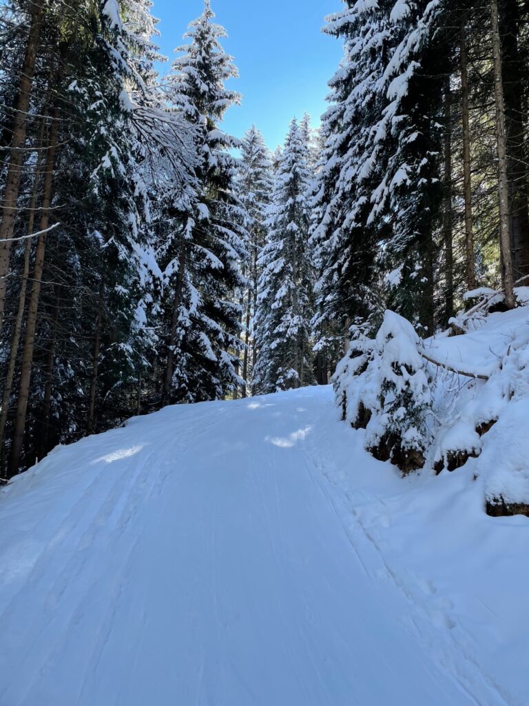 Marchkopf - Bergtourentipp Tirol