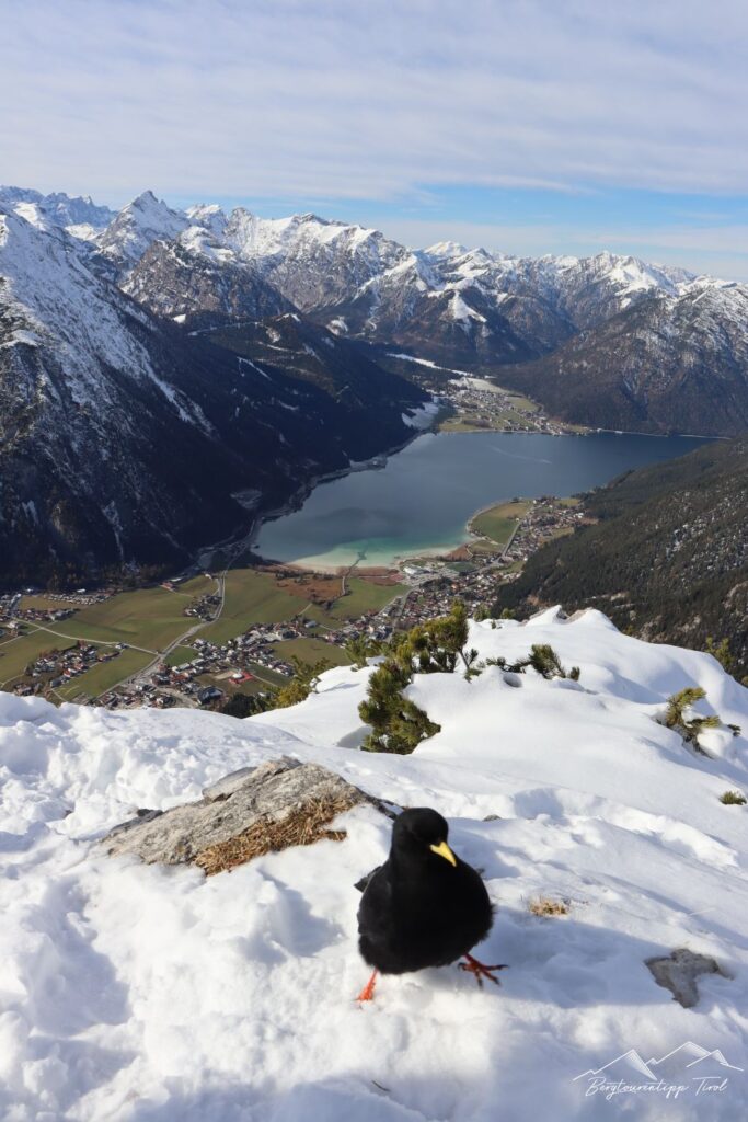 Astenau Alpe/Astenau Alm - Bergtourentipp Tirol