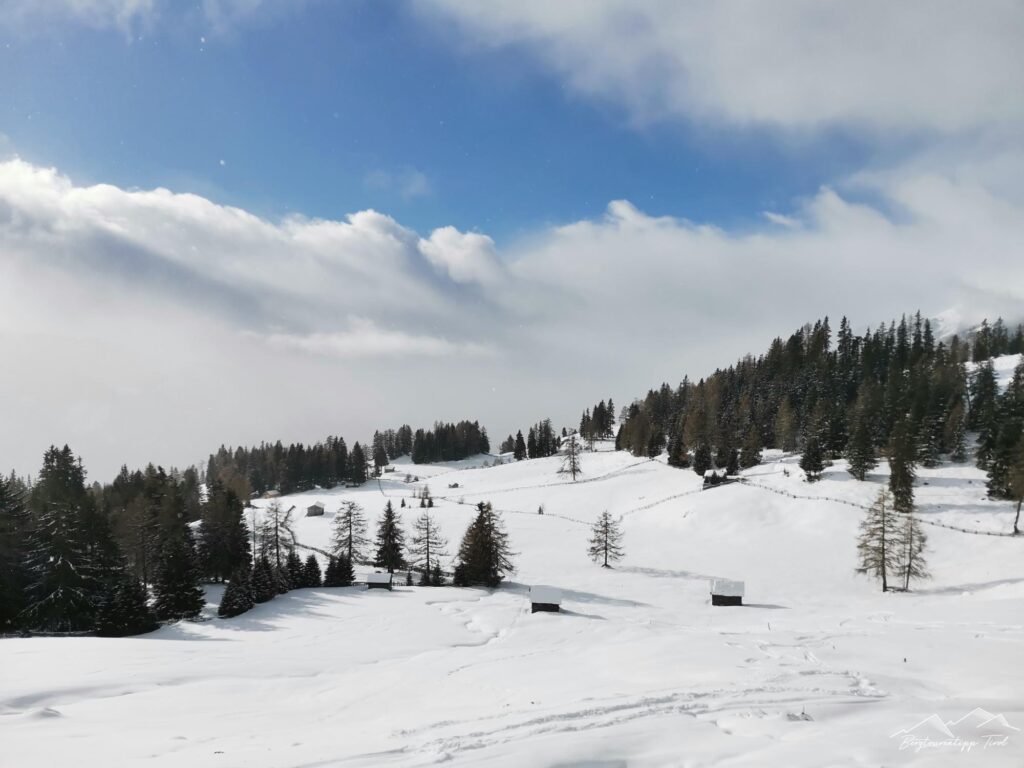 Aifner Alm - Bergtourentipp Tirol