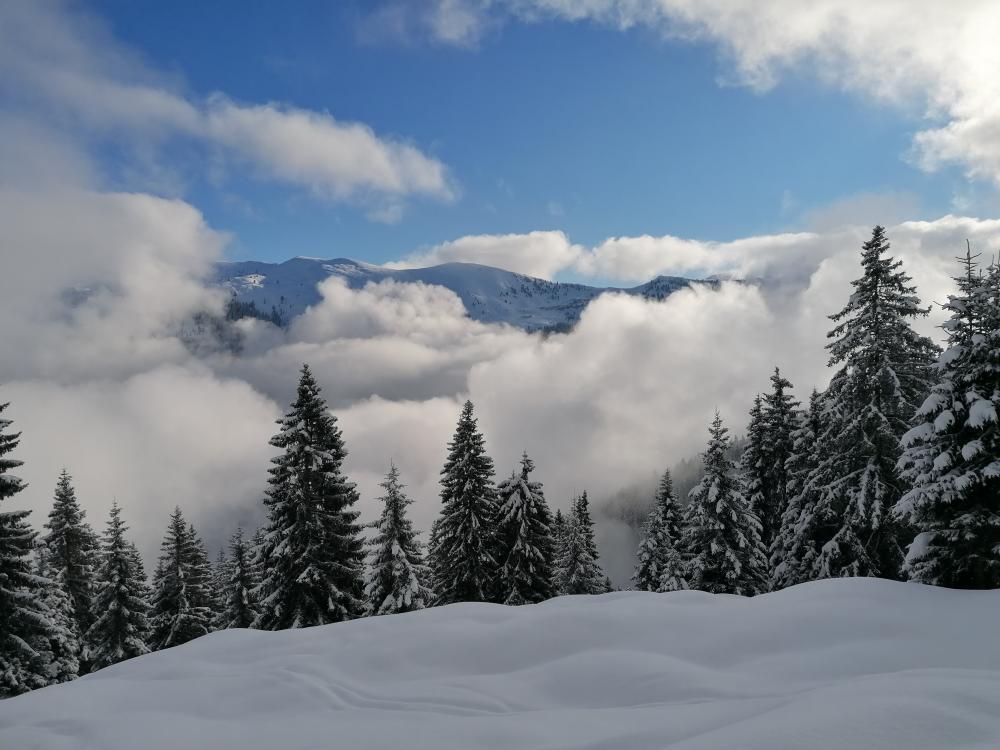 Panorama-Alm Pass-Thurn - Bergtourentipp Tirol
