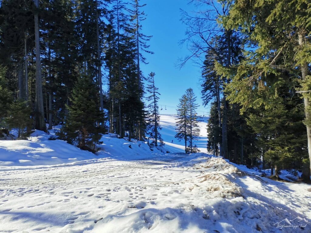 Gschwandtkopf/Brennerköpfl - Bergtourentipp Tirol