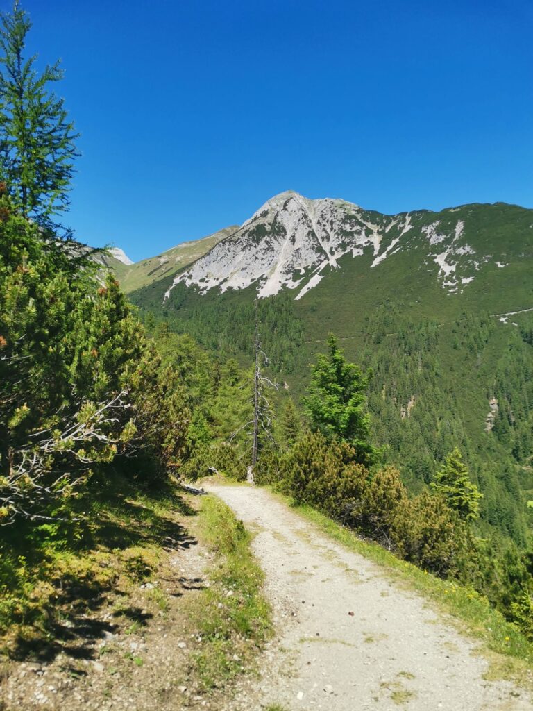 Alpleskopf - Bergtourentipp Tirol