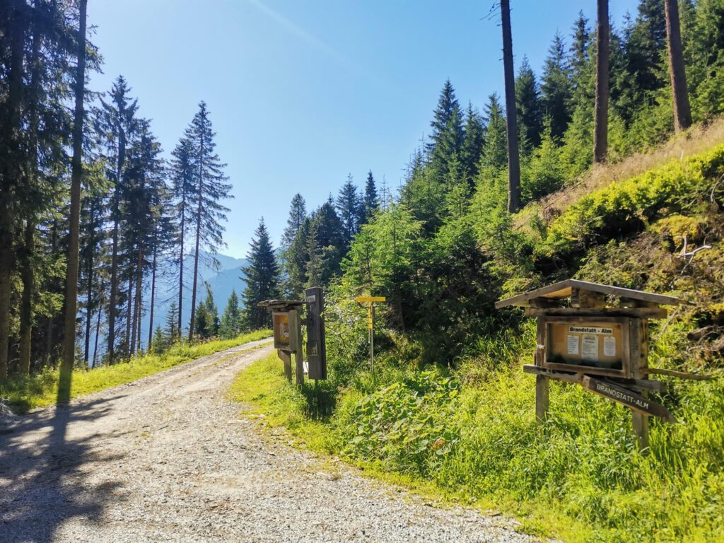 Brandstatt-Alm - Bergtourentipp Tirol