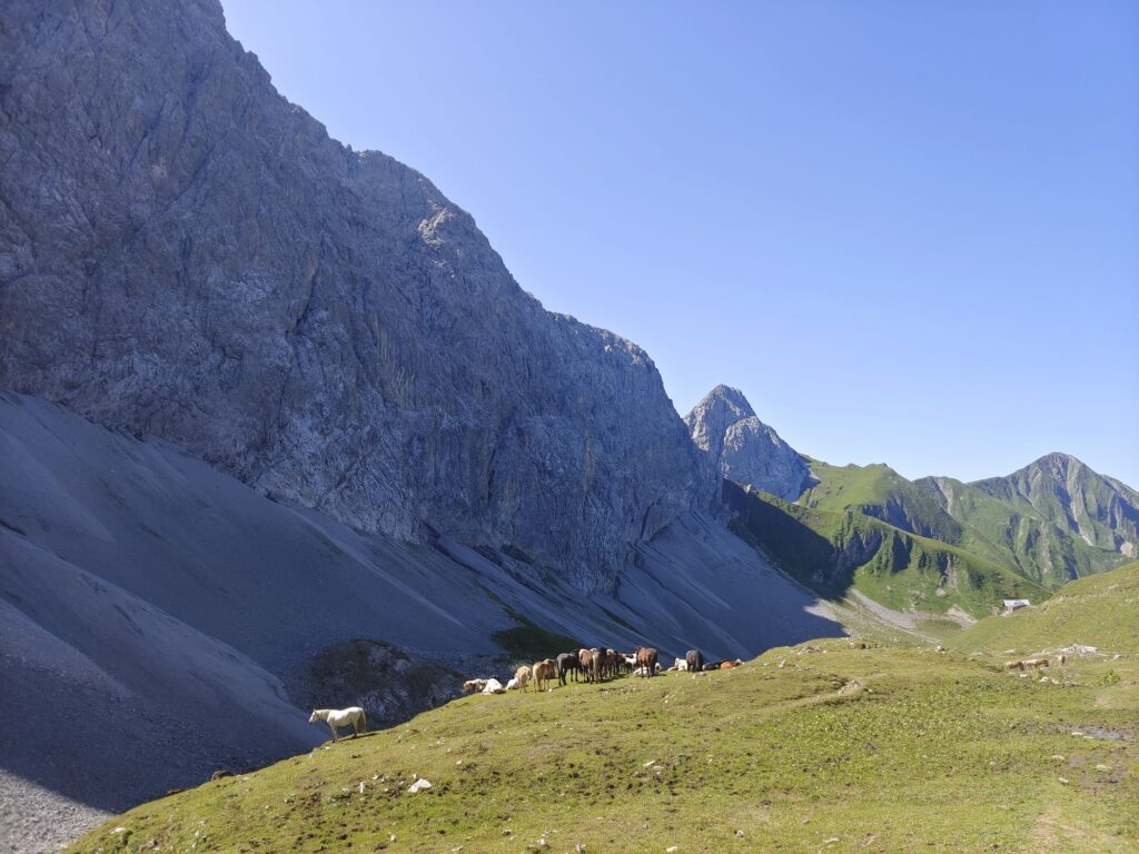 Tschachaun - Bergtourentipp Tirol