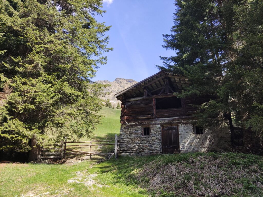 Lanser Alm - Bergtourentipp Tirol