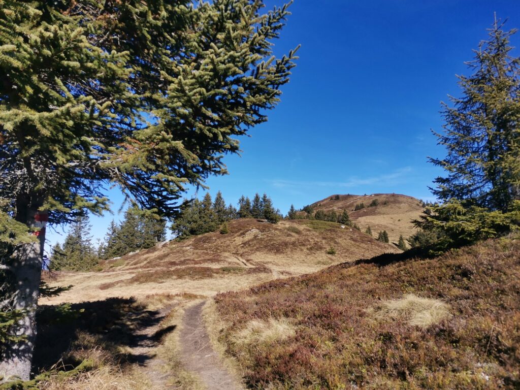 Padauner Kogel - Bergtourentipp Tirol