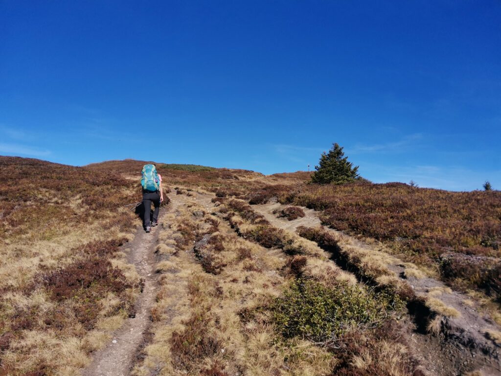 Padauner Kogel - Bergtourentipp Tirol