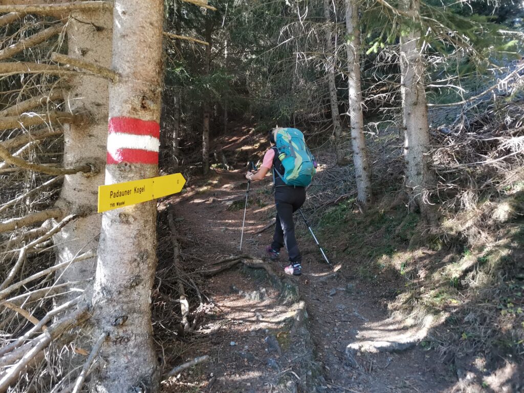 Padauner Kogel - Bergtourentipp Tirol