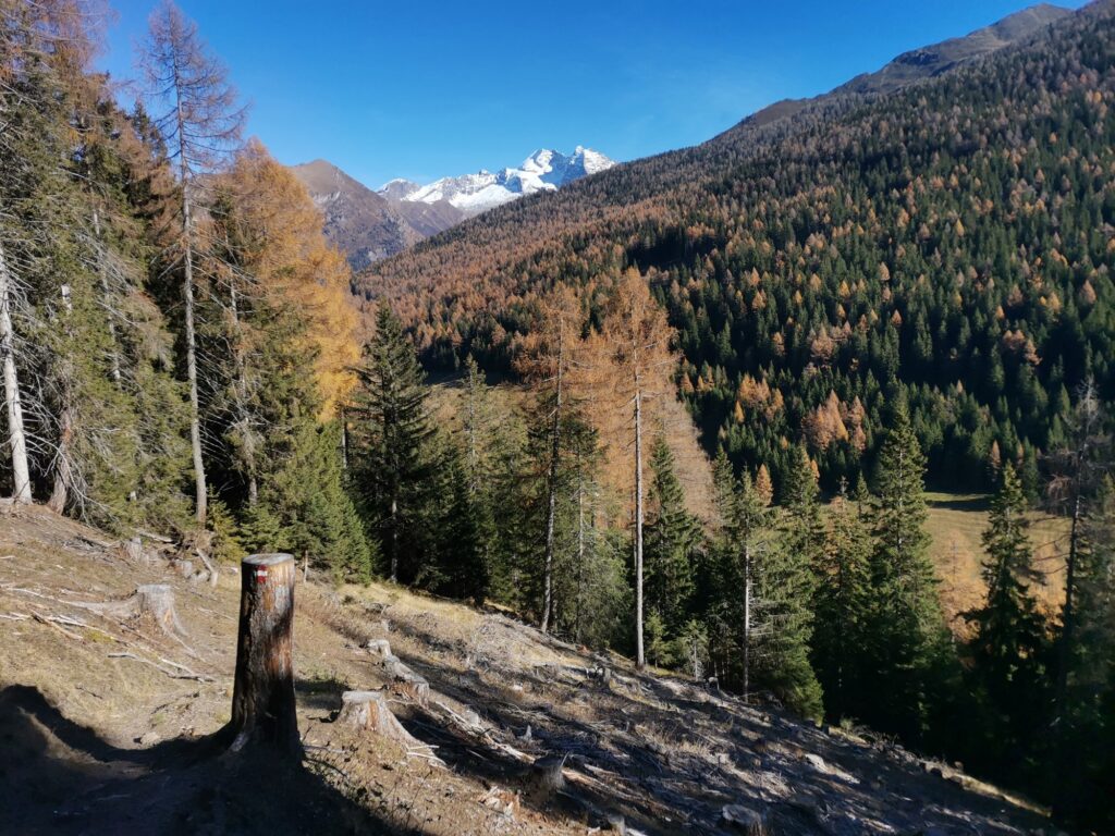 Padauner Kogel - Bergtourentipp Tirol