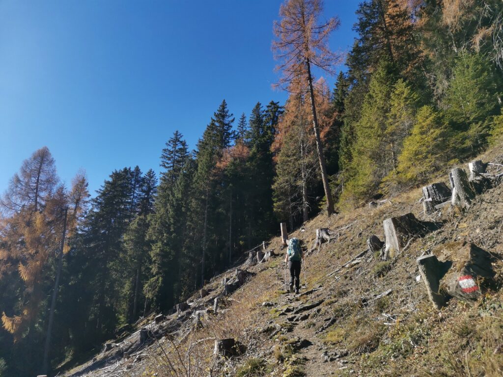 Padauner Kogel - Bergtourentipp Tirol