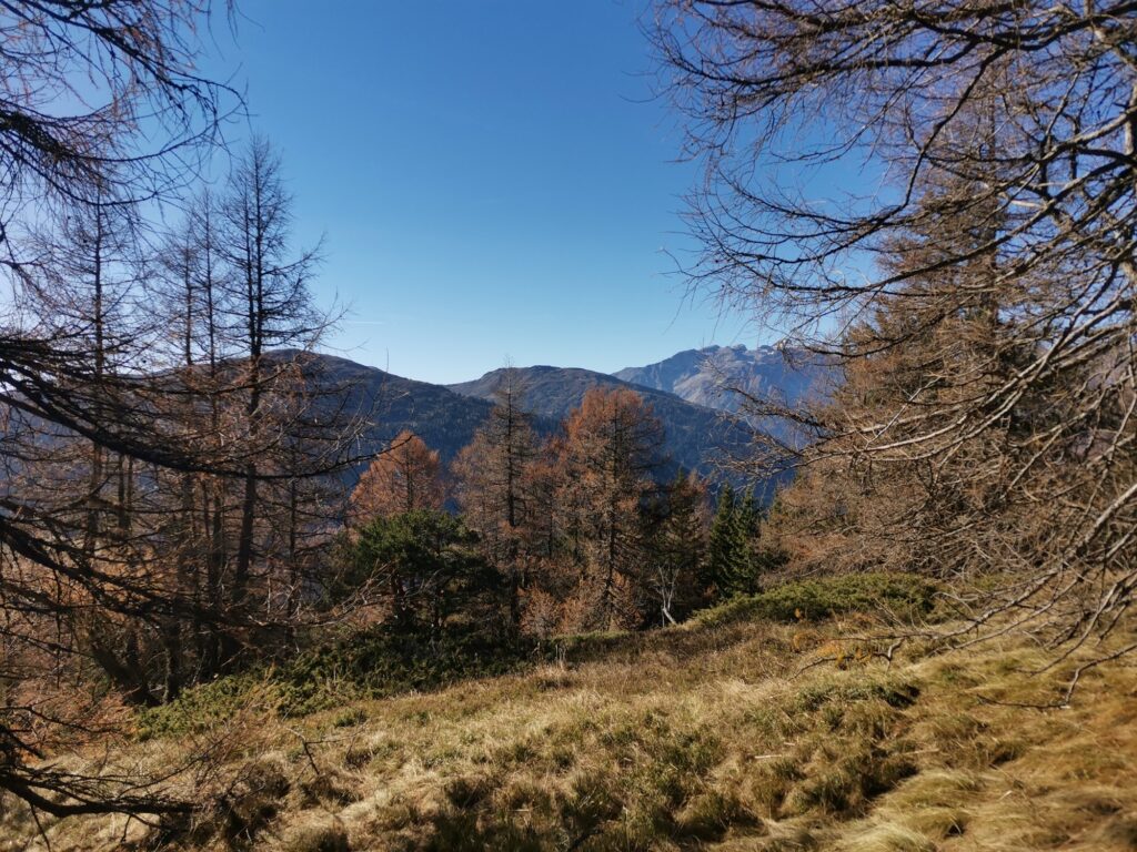 Padauner Kogel - Bergtourentipp Tirol