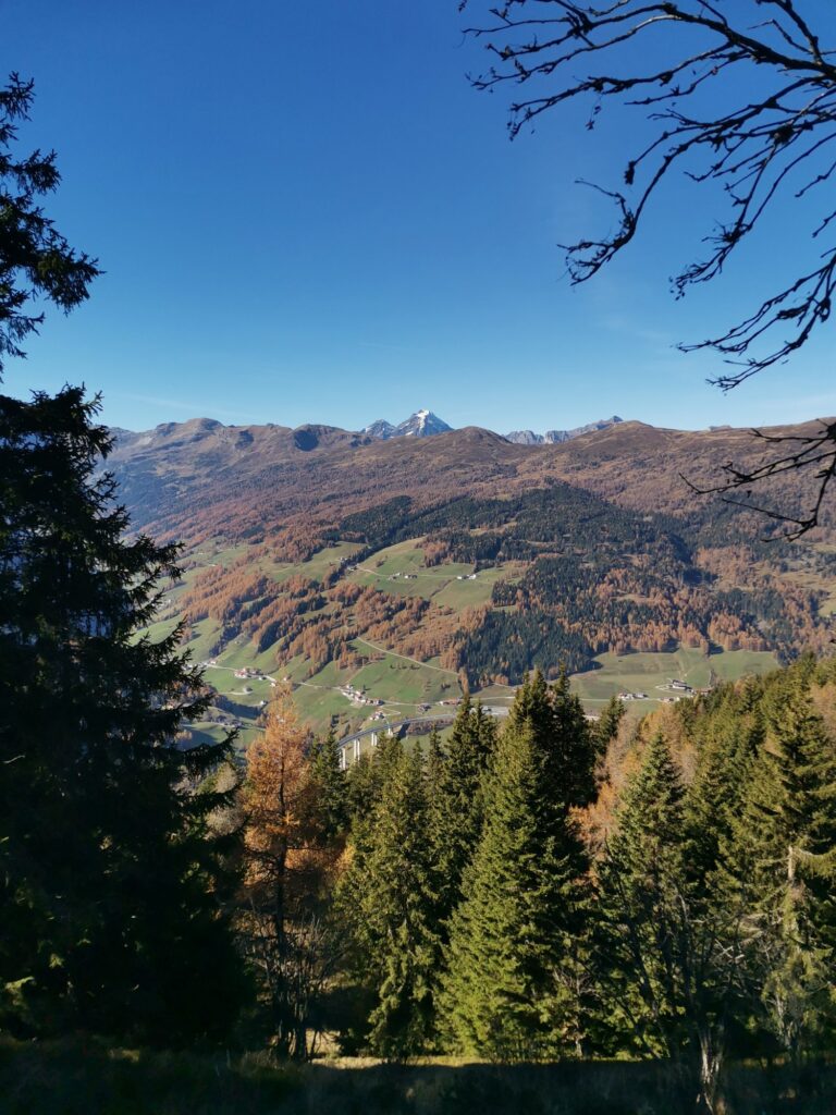 Padauner Kogel - Bergtourentipp Tirol