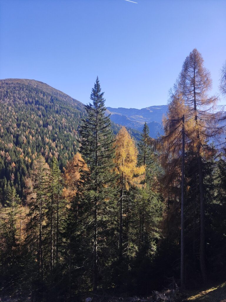 Padauner Kogel - Bergtourentipp Tirol