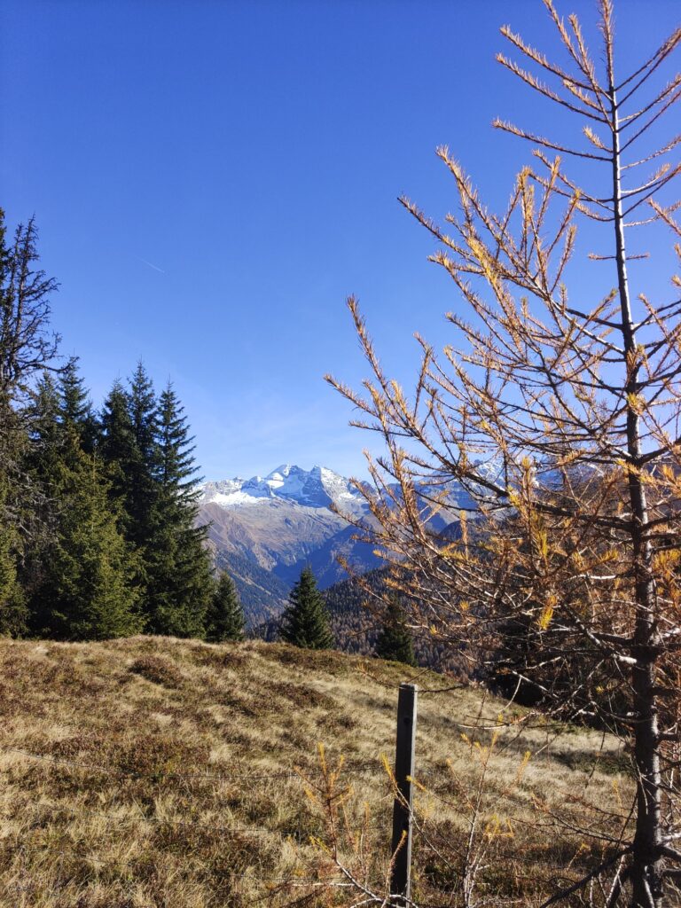 Padauner Kogel - Bergtourentipp Tirol