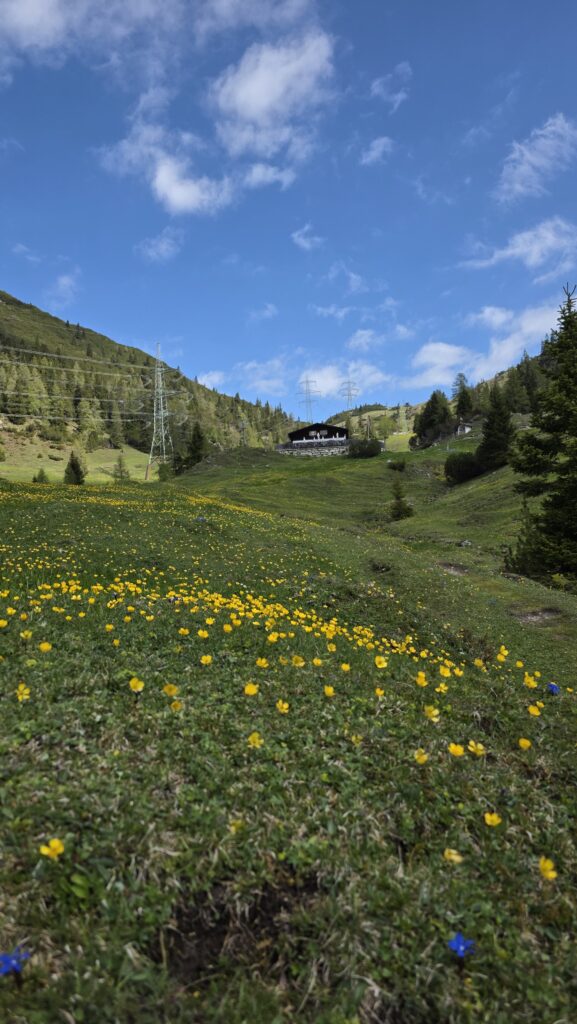 Zäunlkopf - Bergtourentipp Tirol