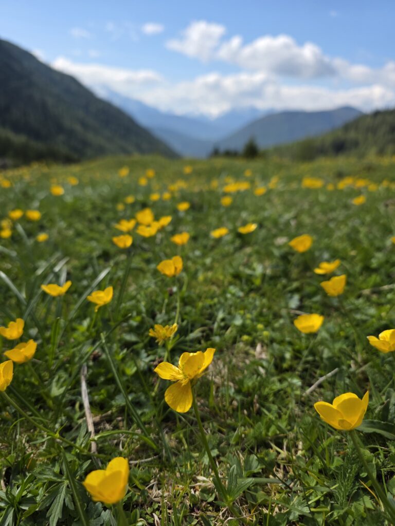 Zäunlkopf - Bergtourentipp Tirol