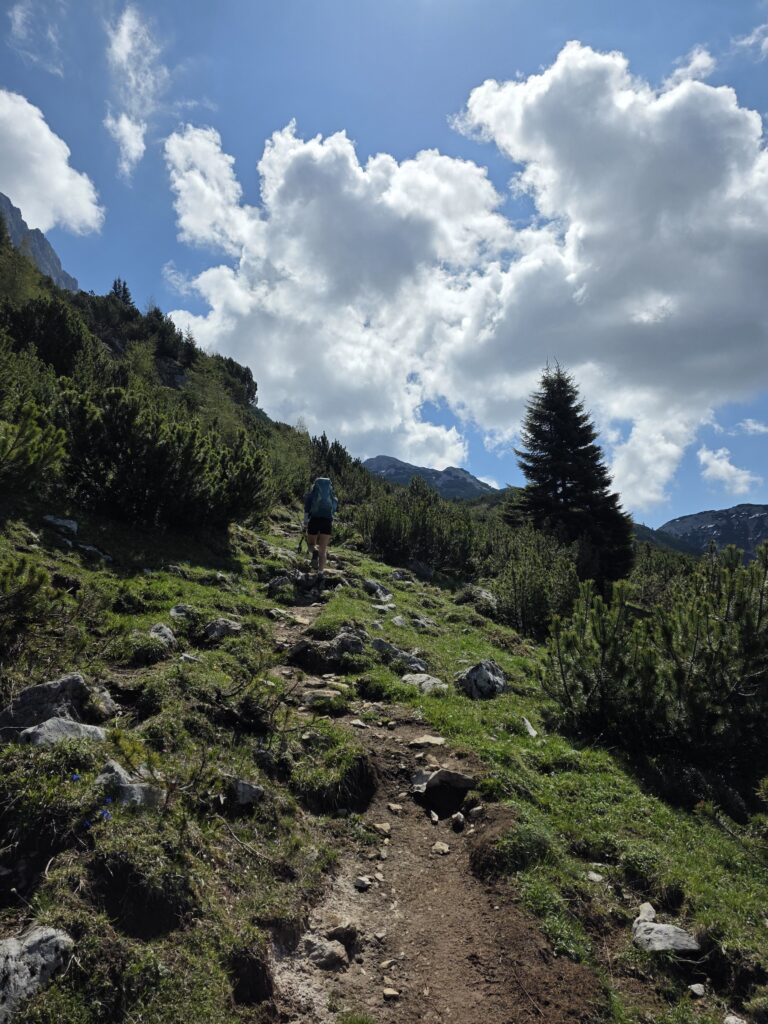 Zäunlkopf - Bergtourentipp Tirol