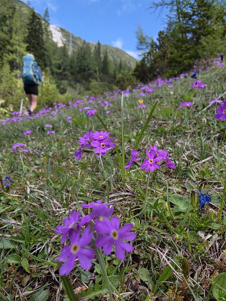 Zäunlkopf - Bergtourentipp Tirol