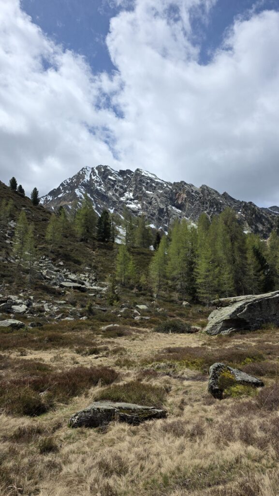 Mittagsspitze - Bergtourentipp Tirol
