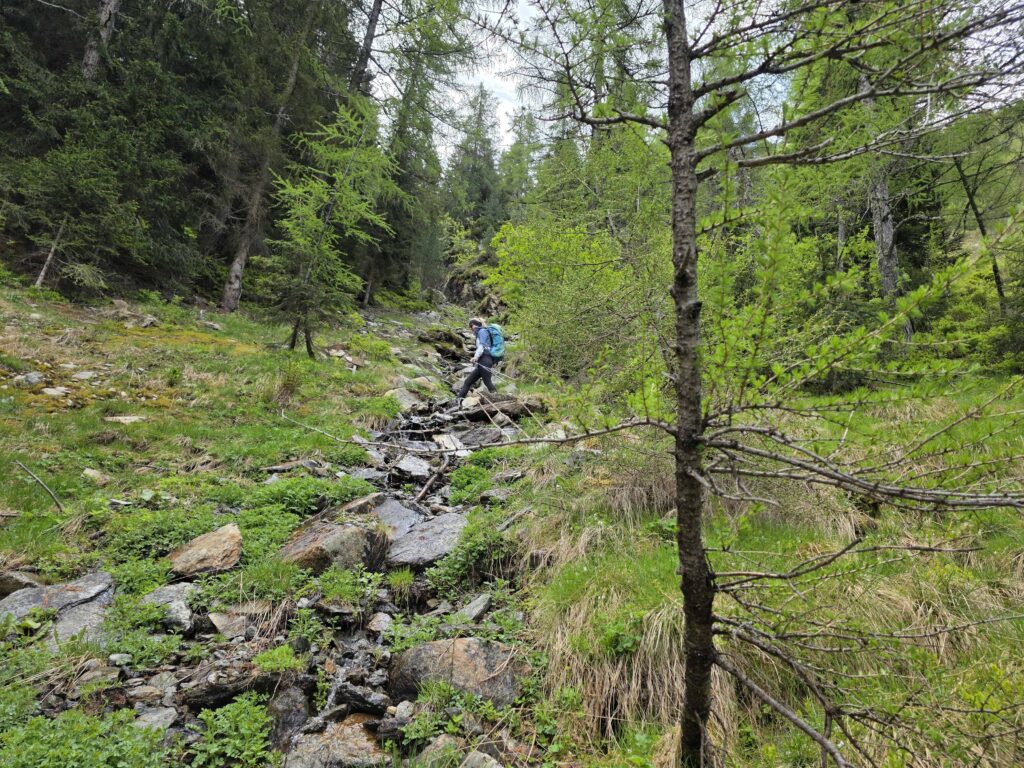 Mittagsspitze - Bergtourentipp Tirol