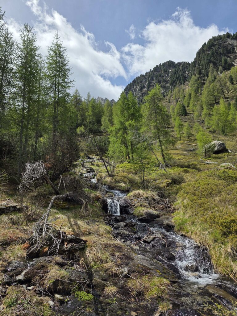 Mittagsspitze - Bergtourentipp Tirol