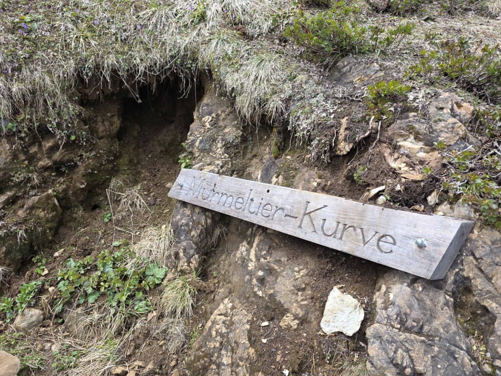 Wildseelodersee - Bergtourentipp Tirol