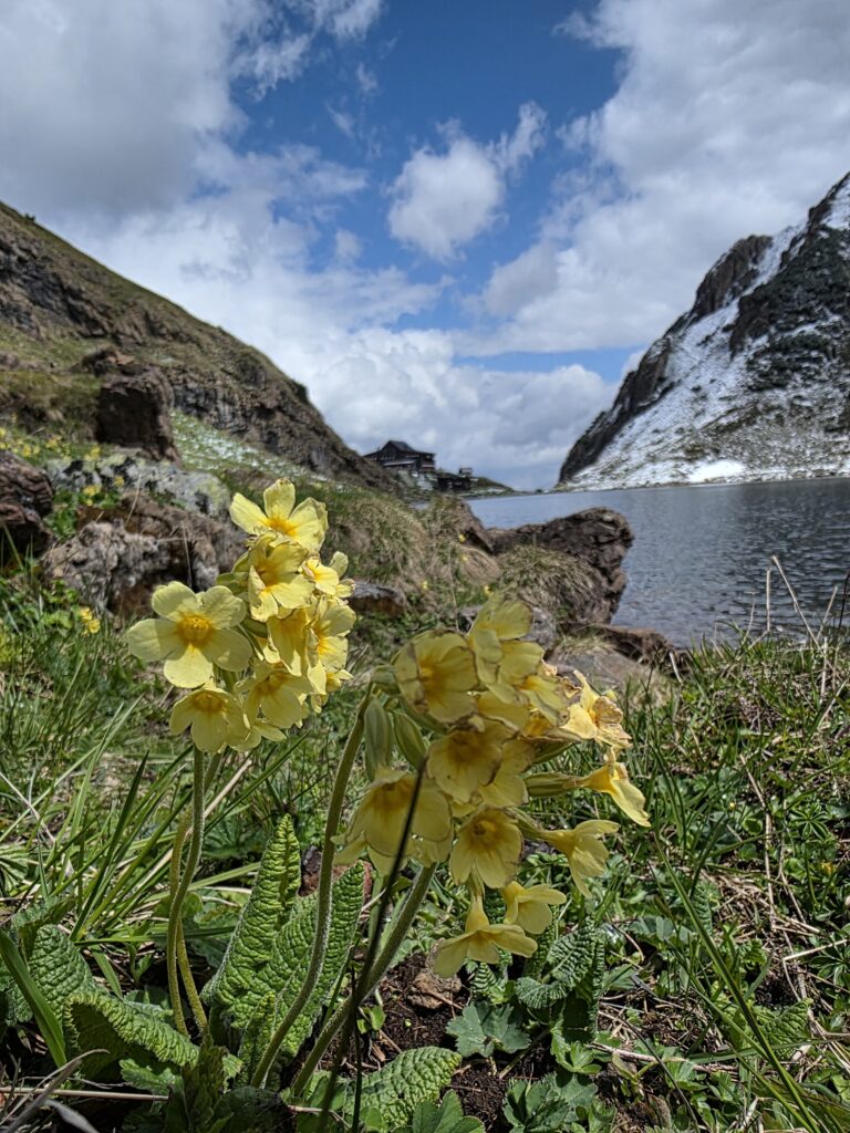 Wildseelodersee - Bergtourentipp Tirol