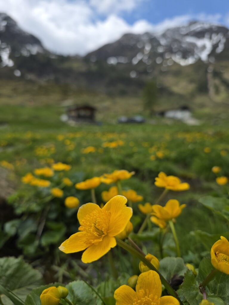 Wildseelodersee - Bergtourentipp Tirol