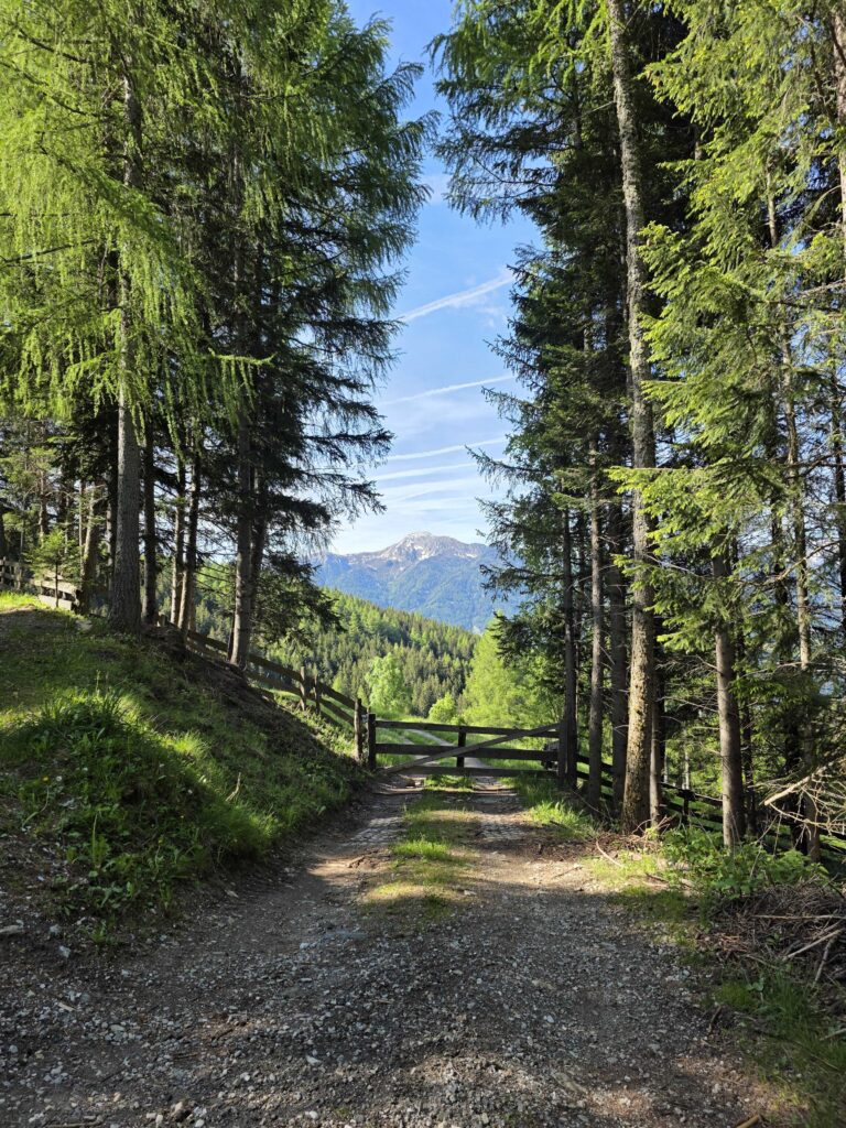 Saun - Bergtourentipp Tirol