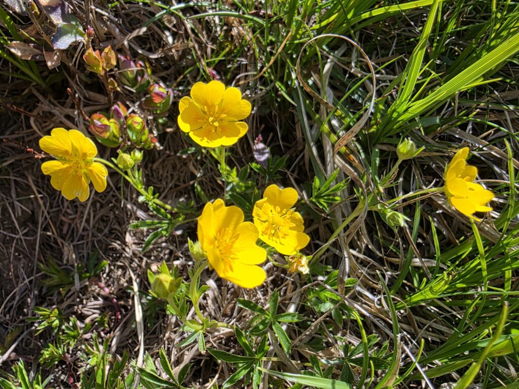 Saun - Bergtourentipp Tirol