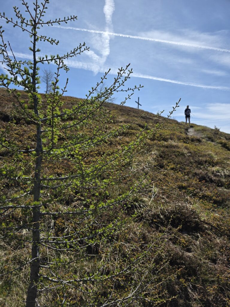 Saun - Bergtourentipp Tirol
