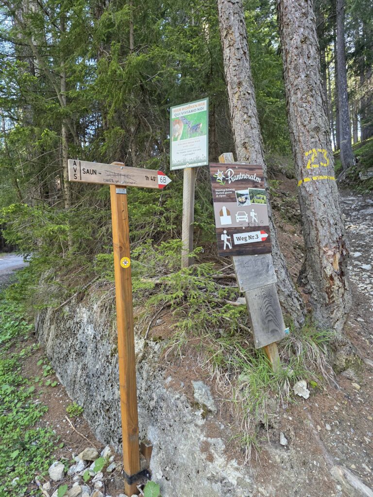 Saun - Bergtourentipp Tirol