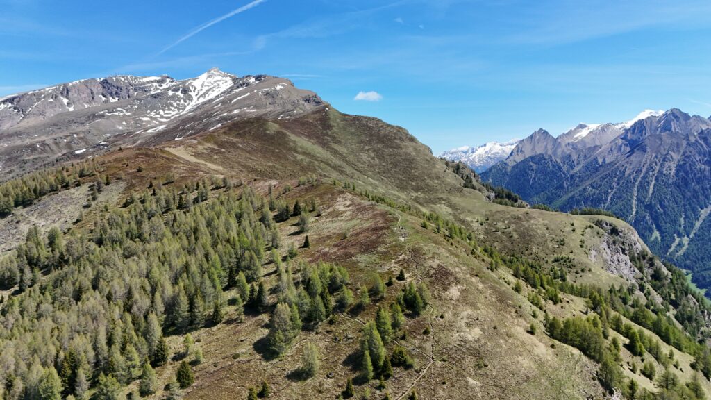 Saun - Bergtourentipp Tirol