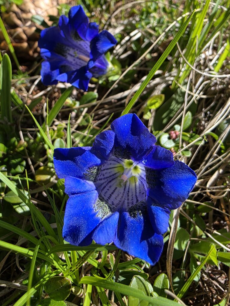 Saun - Bergtourentipp Tirol